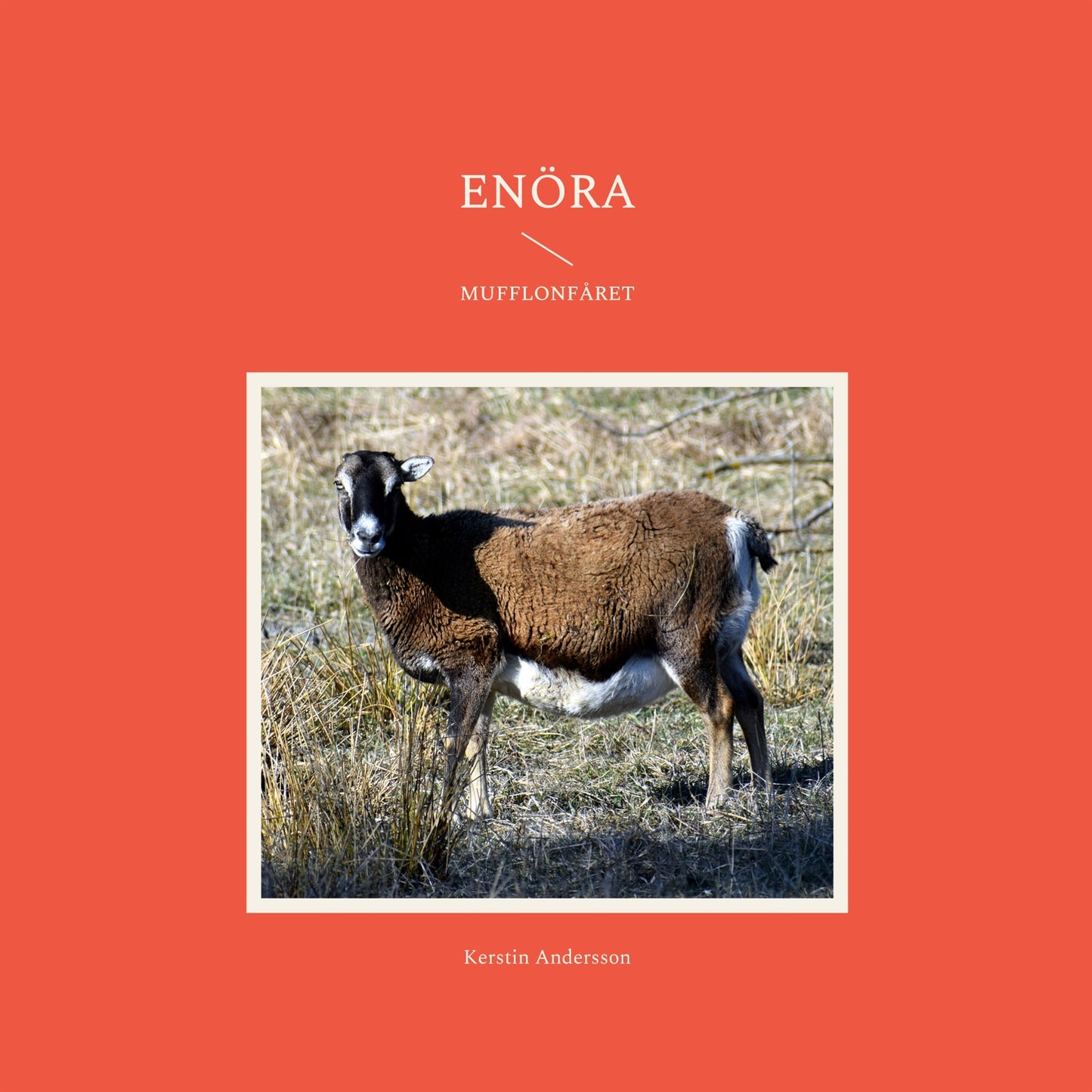 Enöra: I fårhagen – E-bok