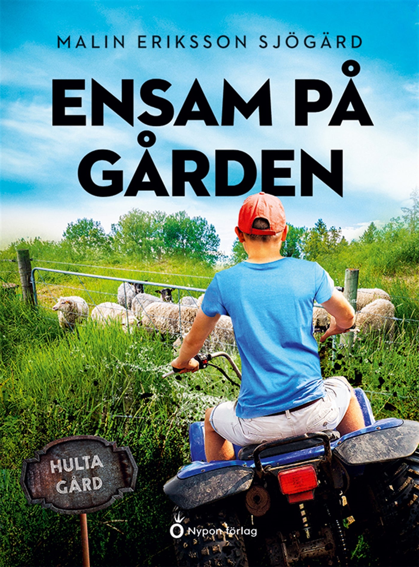 Ensam på gården – E-bok