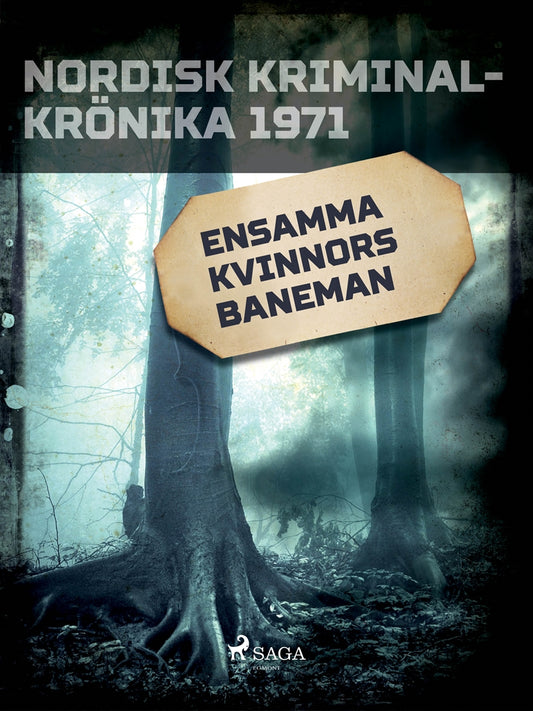 Ensamma kvinnors baneman – E-bok