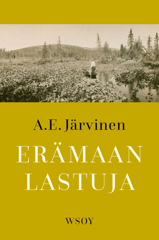 Erämaan lastuja – E-bok