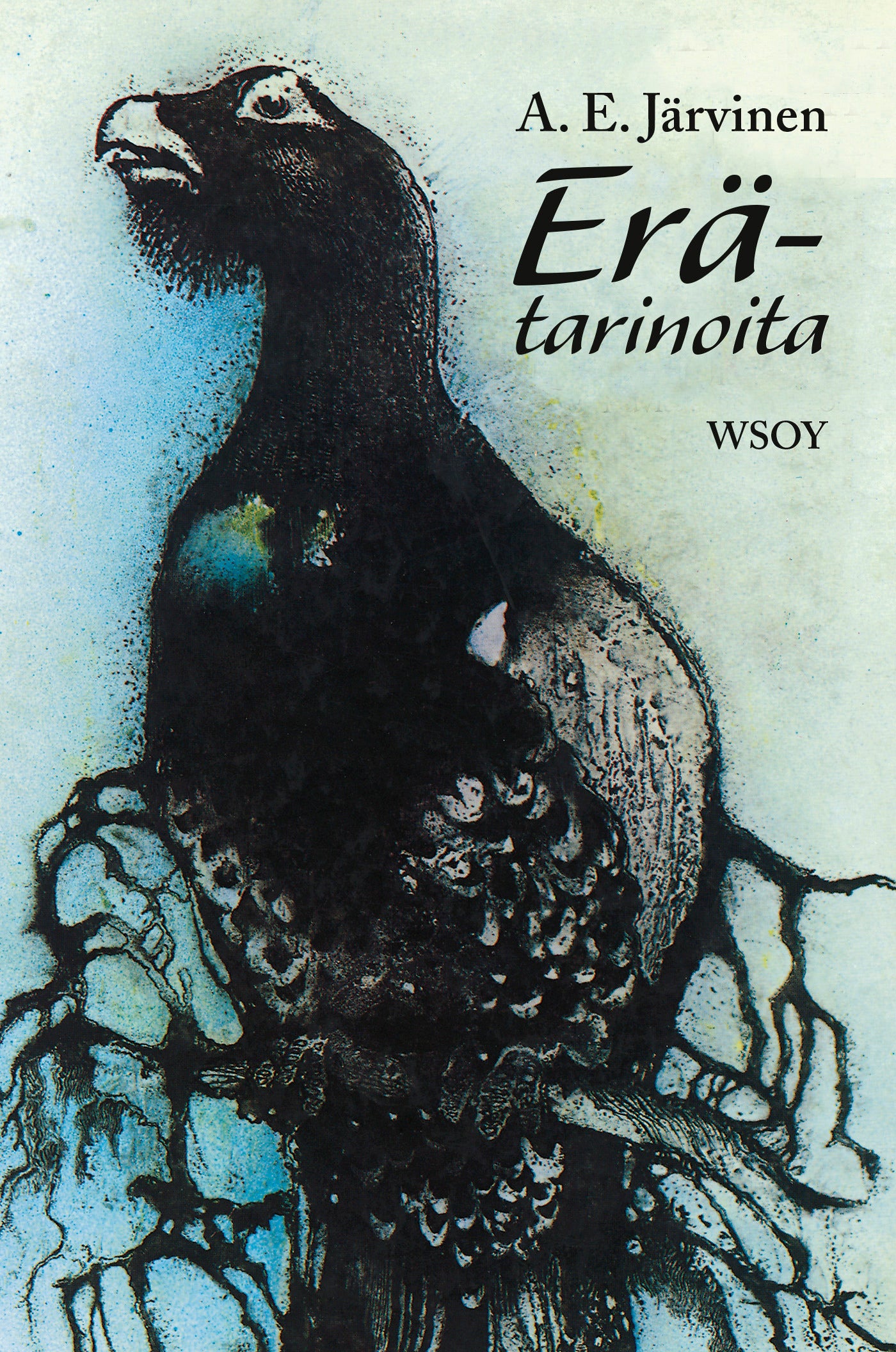 Erätarinoita – E-bok