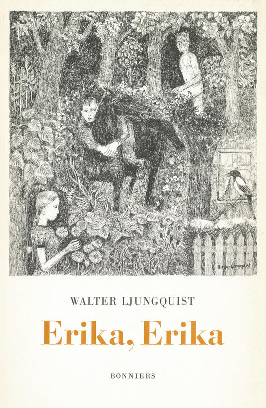 Erika, Erika : En ordvävnad – E-bok