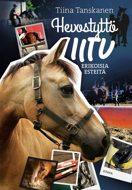 Erikoisia esteitä – E-bok