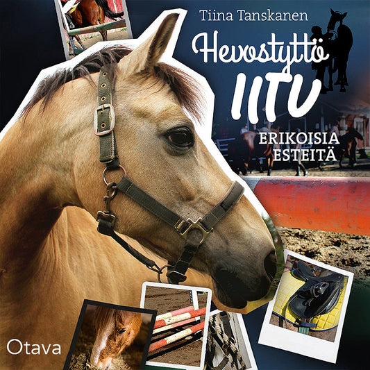 Erikoisia esteitä – Ljudbok