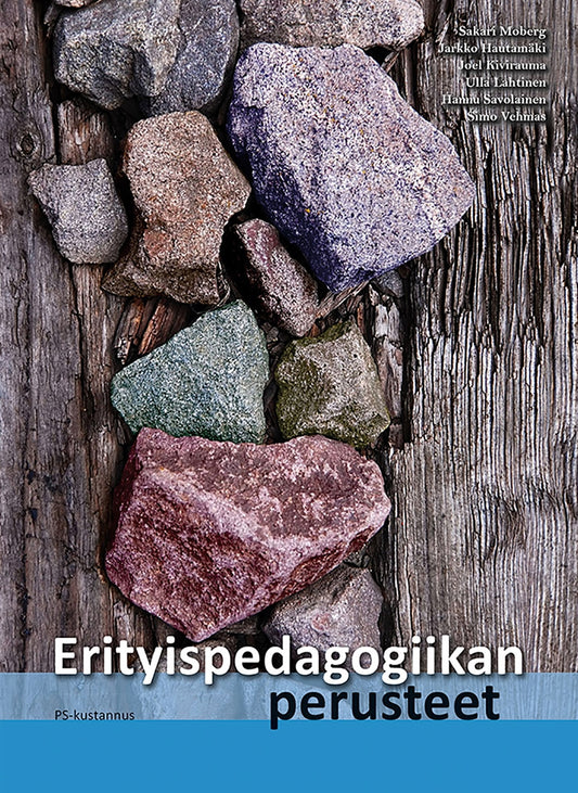 Erityispedagogiikan perusteet – E-bok