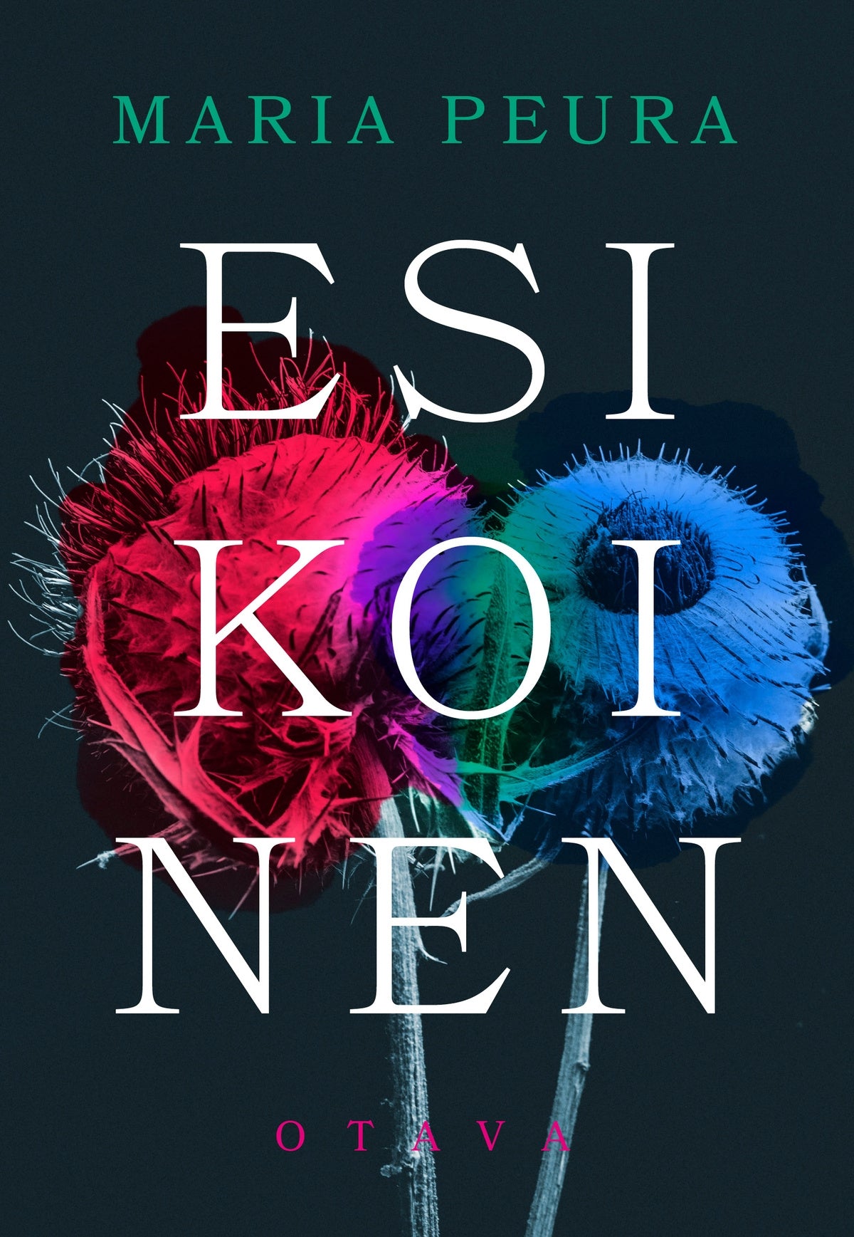 Esikoinen – E-bok