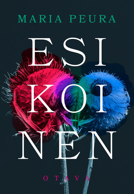 Esikoinen – E-bok