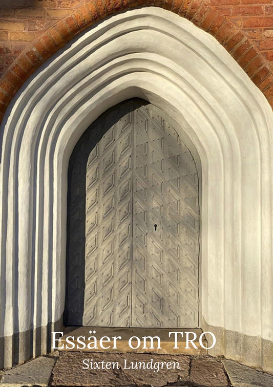 Essäer om Tro – E-bok