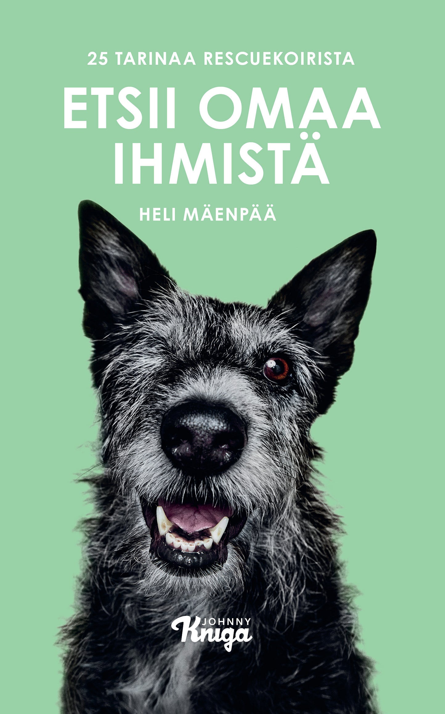 Etsii omaa ihmistä – E-bok