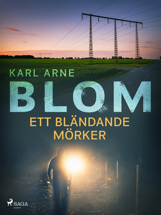 Ett bländande mörker – E-bok