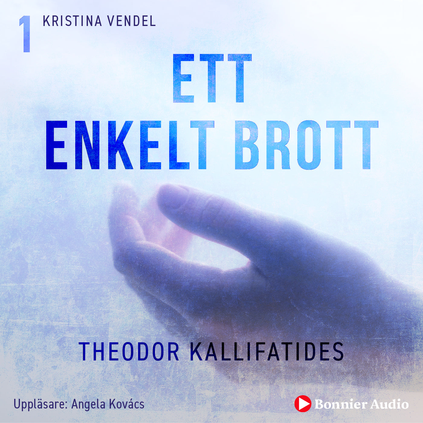 Ett enkelt brott – Ljudbok