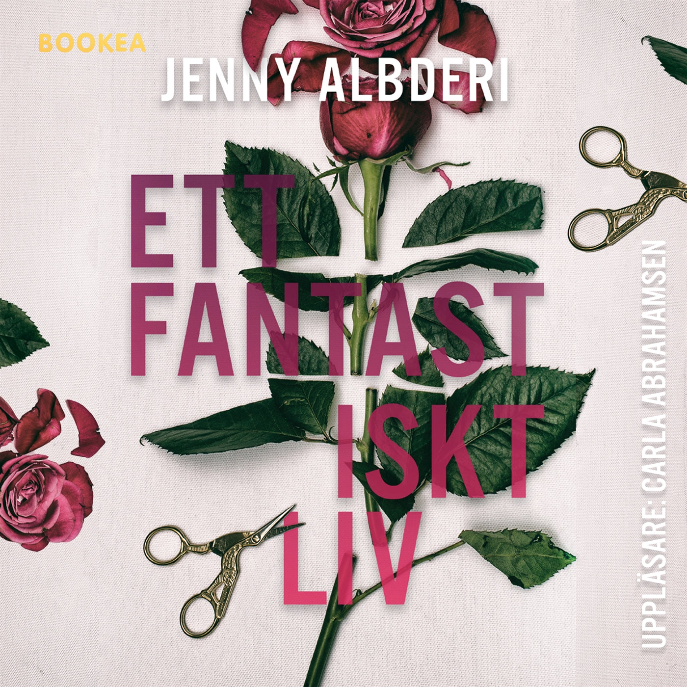 Ett fantastiskt liv – Ljudbok