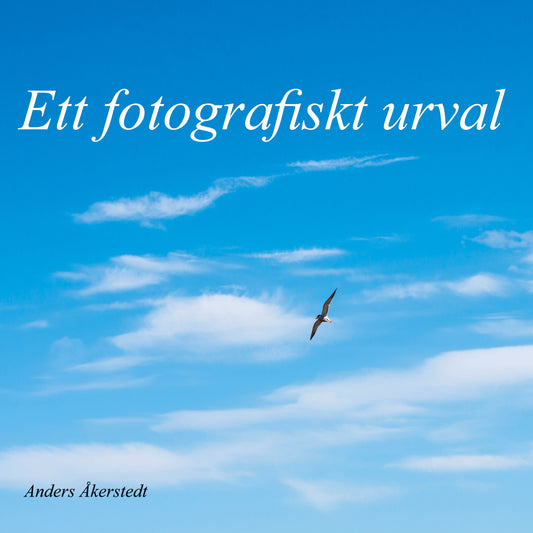 Ett fotografiskt urval – E-bok