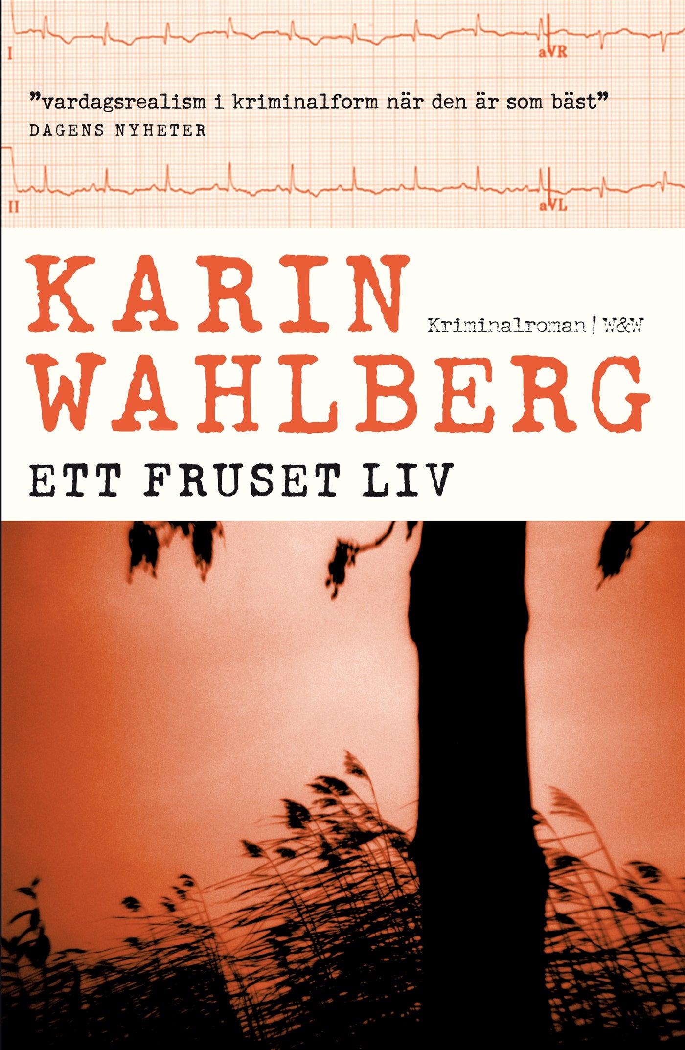 Ett fruset liv – E-bok