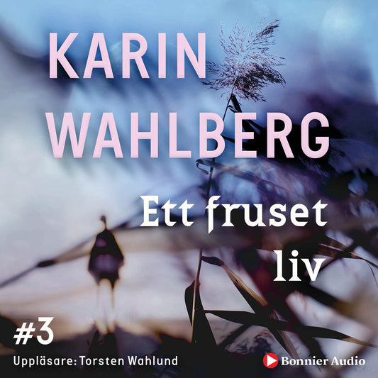Ett fruset liv – Ljudbok