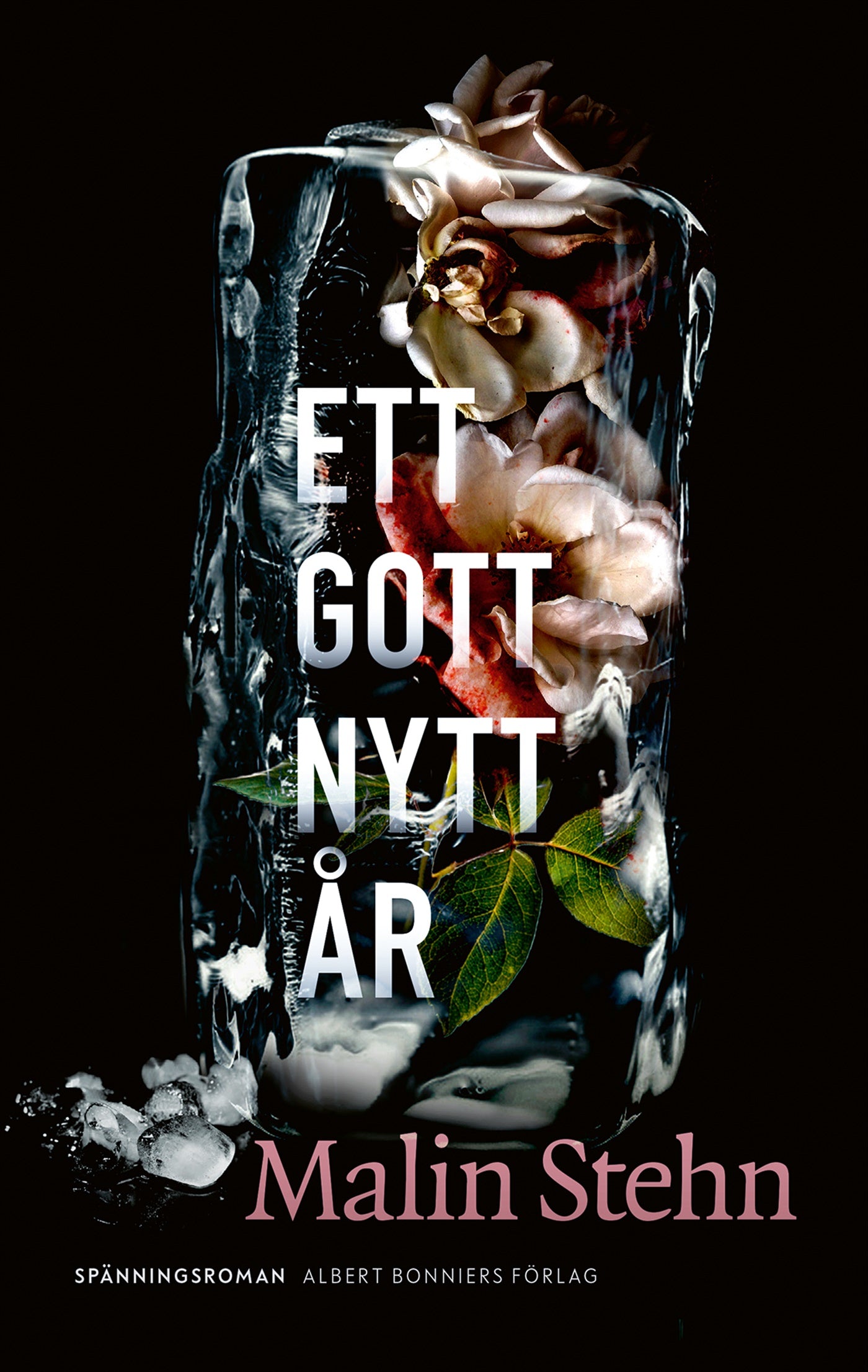 Ett gott nytt år – E-bok
