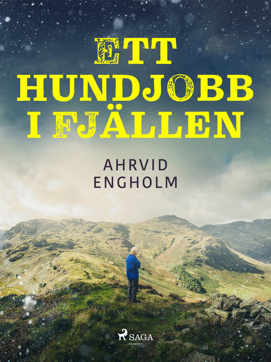 Ett hundjobb i fjällen – E-bok