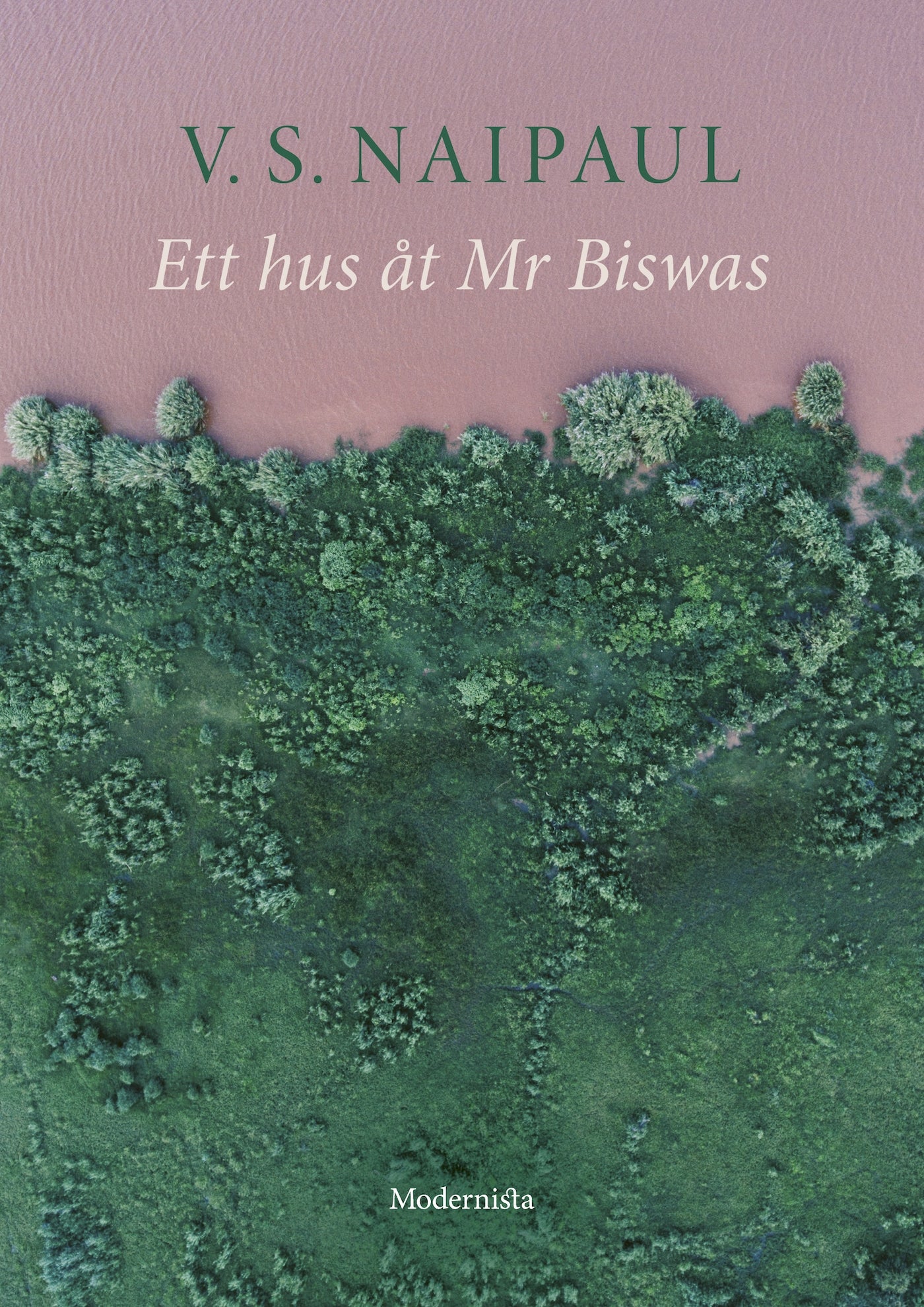Ett hus åt Mr Biswas – E-bok