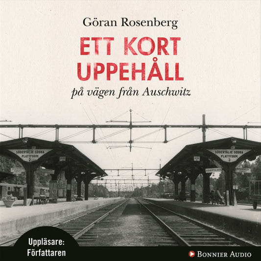 Ett kort uppehåll på vägen från Auschwitz – Ljudbok