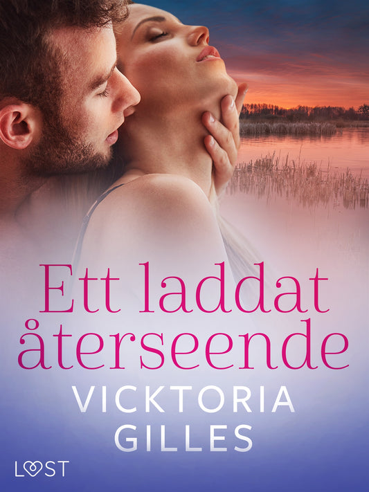 Ett laddat återseende - erotisk novell – E-bok