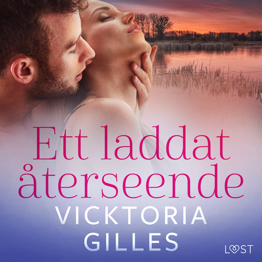 Ett laddat återseende - erotisk novell – Ljudbok