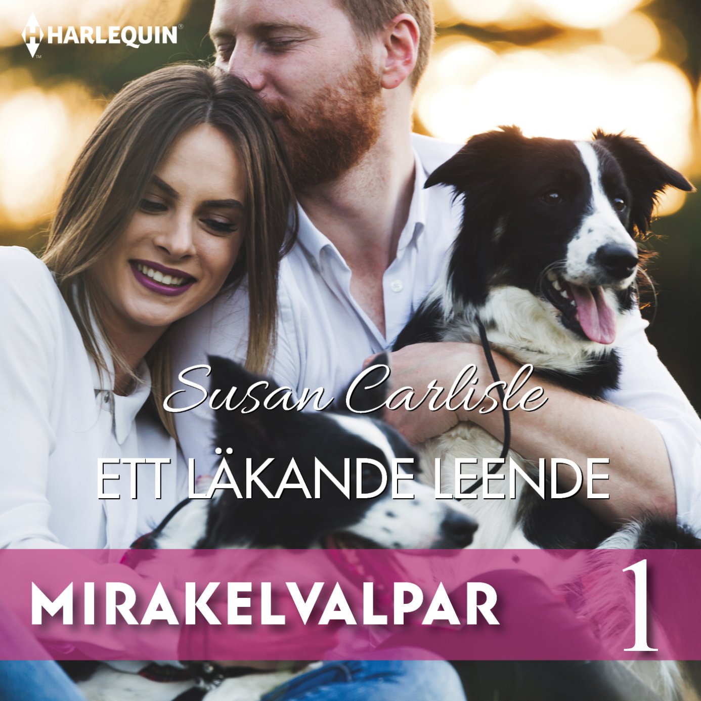 Ett läkande leende – Ljudbok