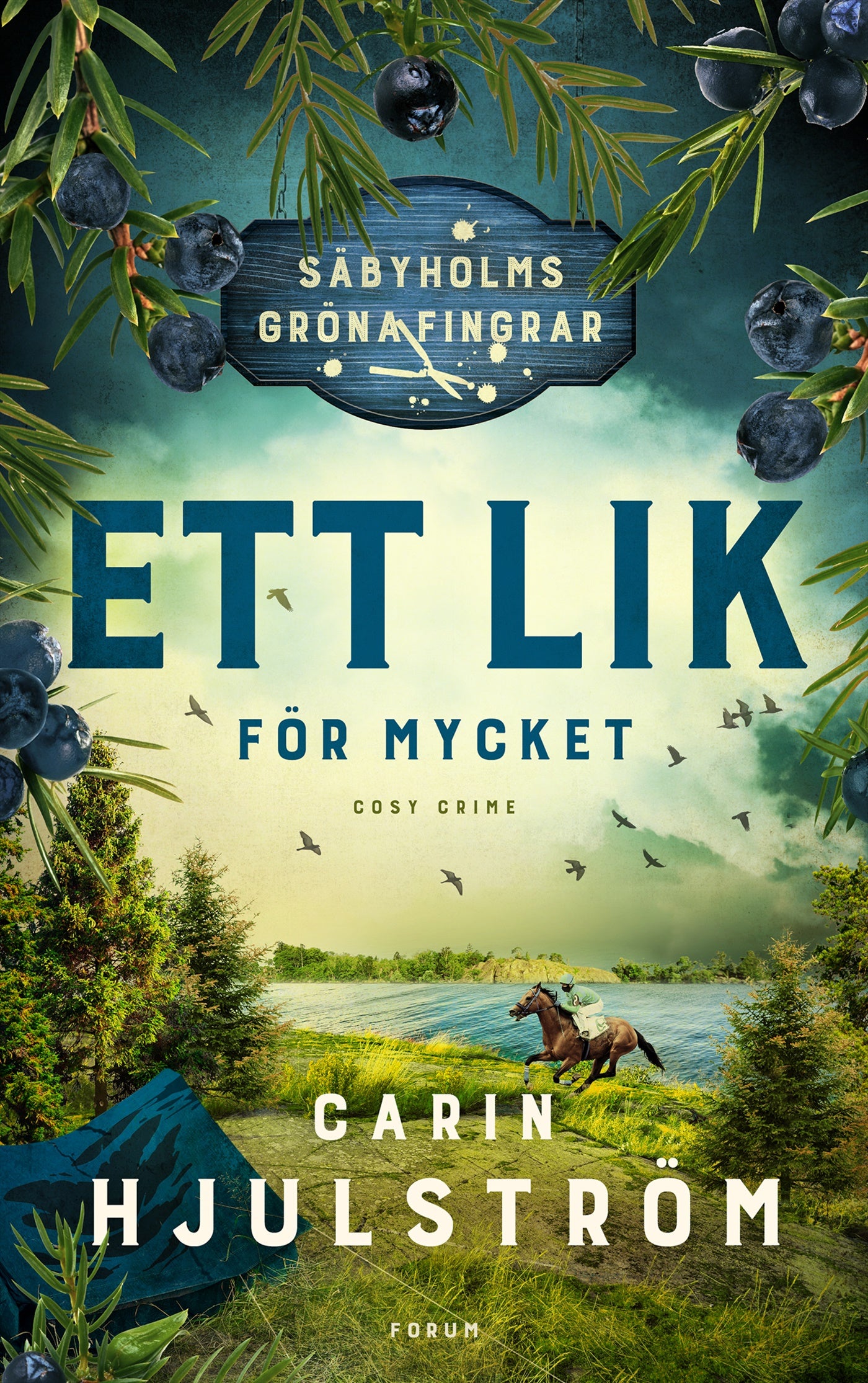 Ett lik för mycket – E-bok