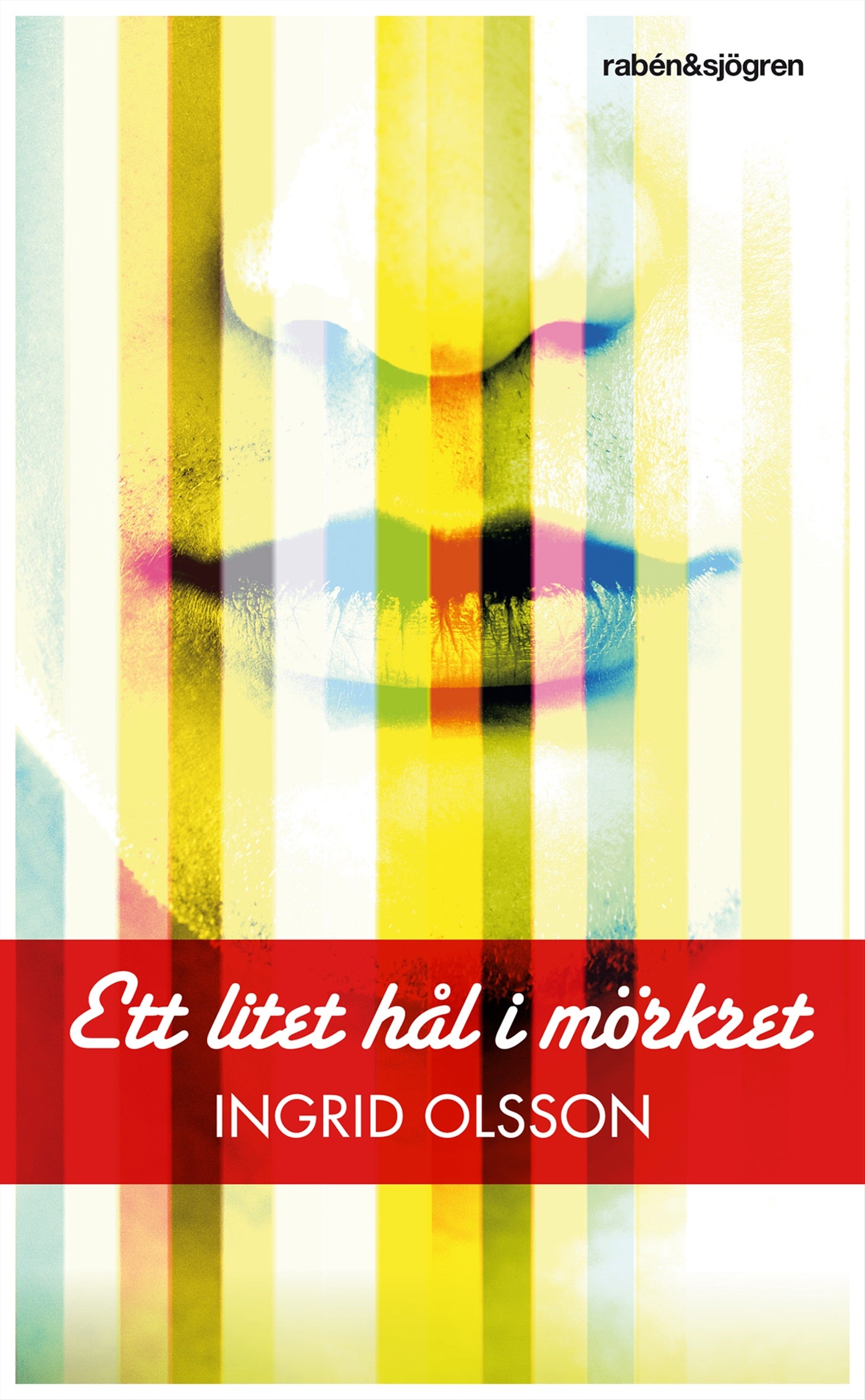 Ett litet hål i mörkret – E-bok