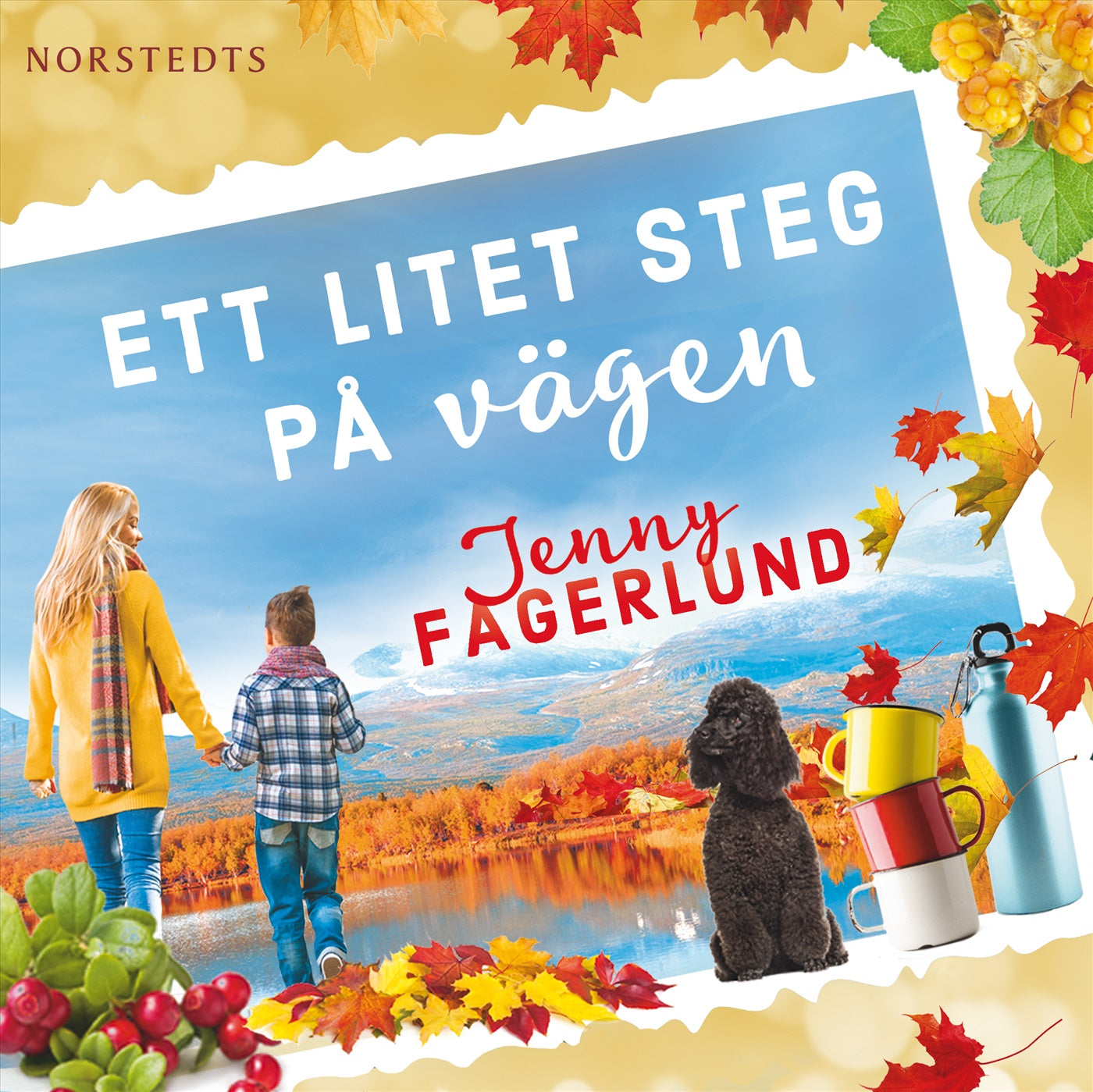 Ett litet steg på vägen – Ljudbok