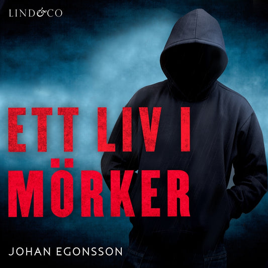 Ett liv i mörker: En sann historia – Ljudbok