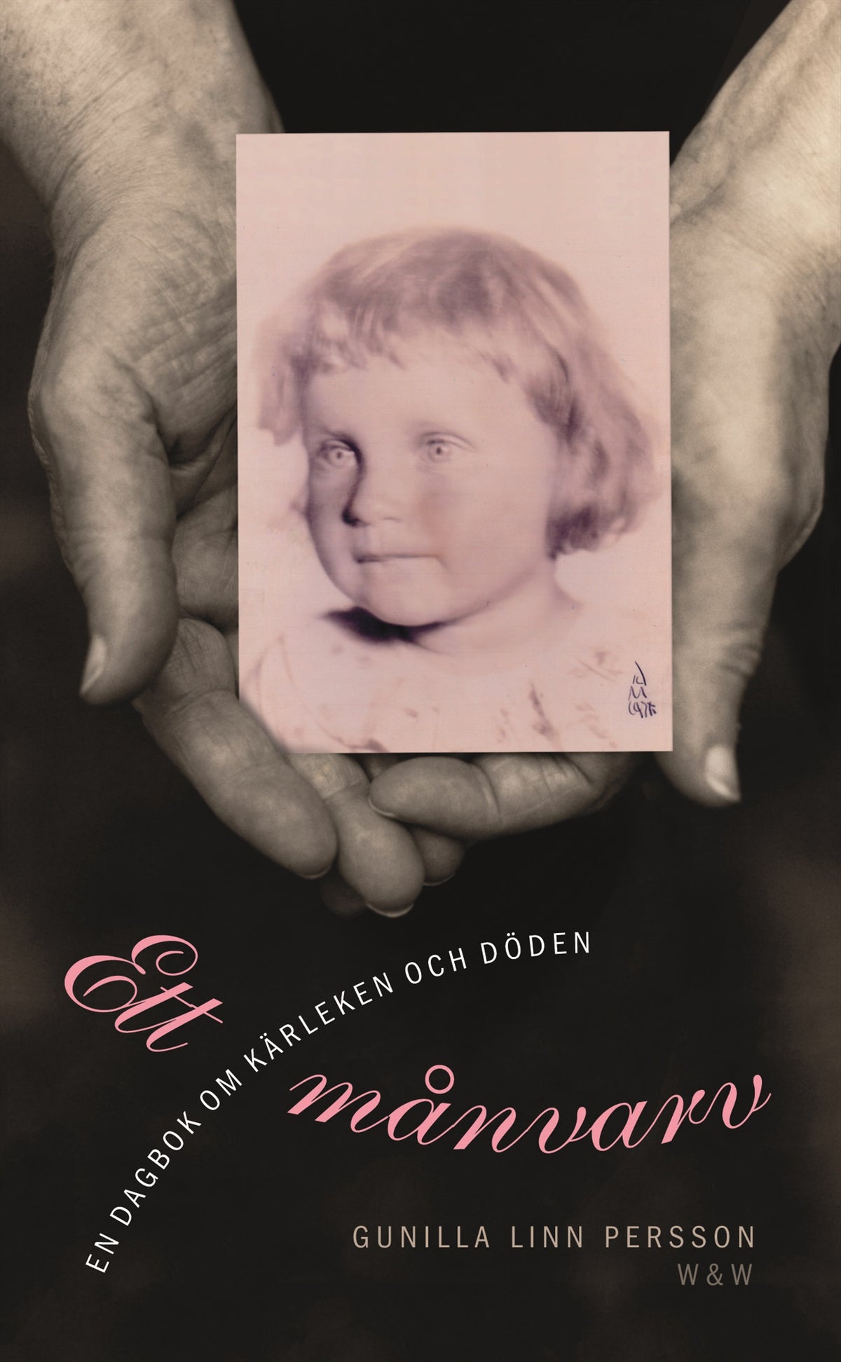 Ett månvarv – E-bok