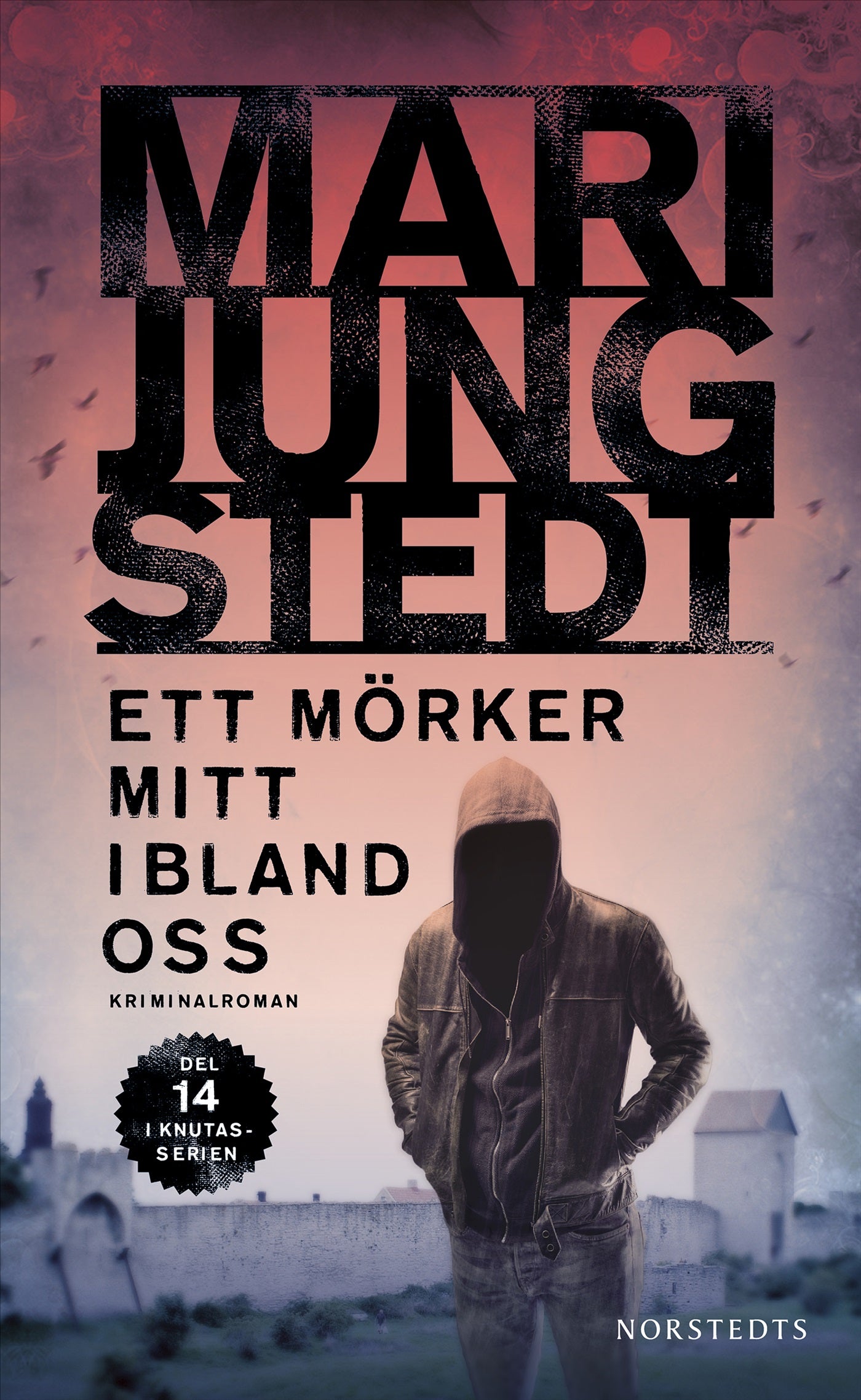 Ett mörker mitt ibland oss – E-bok