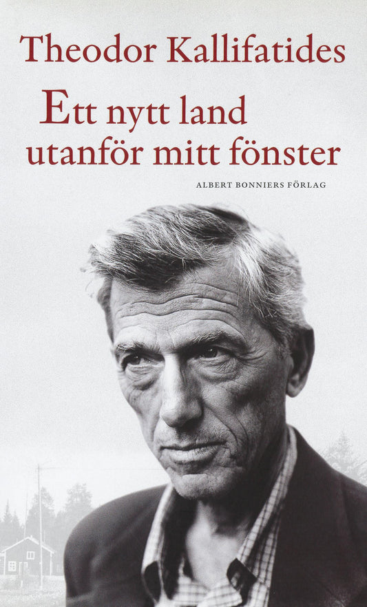 Ett nytt land utanför mitt fönster – E-bok