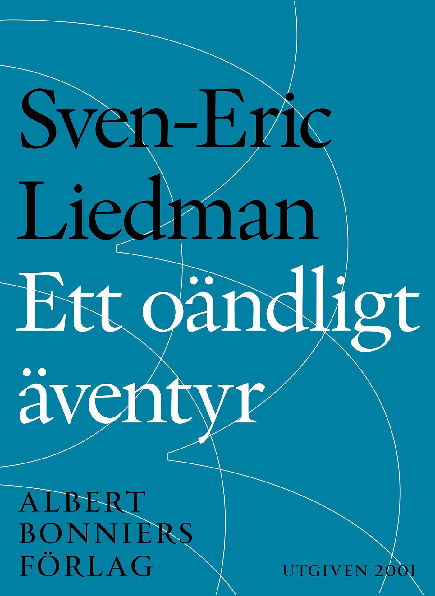 Ett oändligt äventyr – E-bok