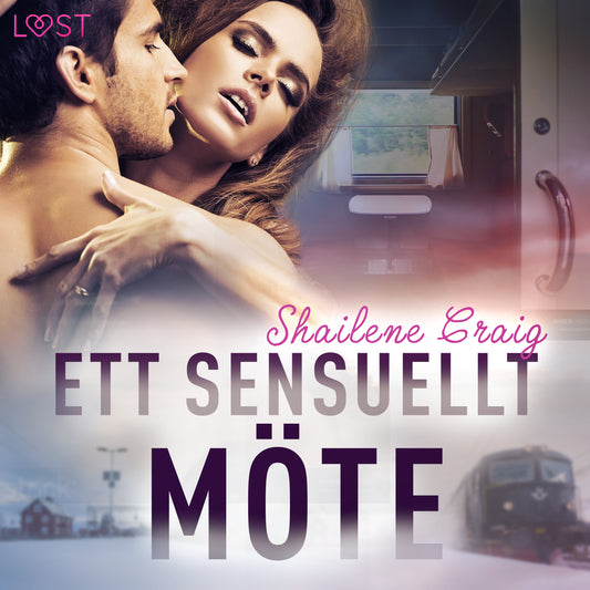 Ett sensuellt möte - erotisk novell – Ljudbok