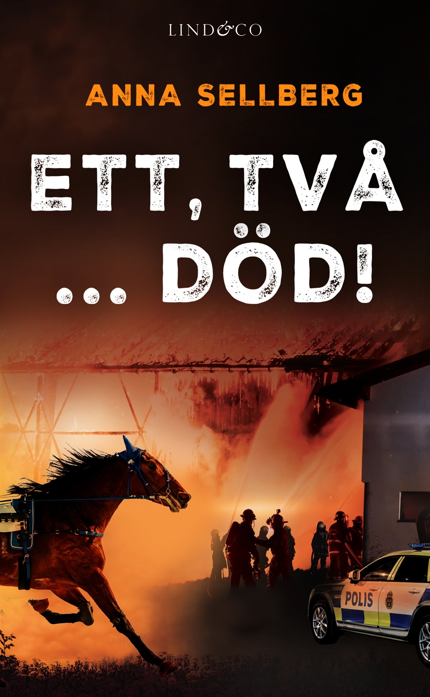 Ett, två ... död! – E-bok