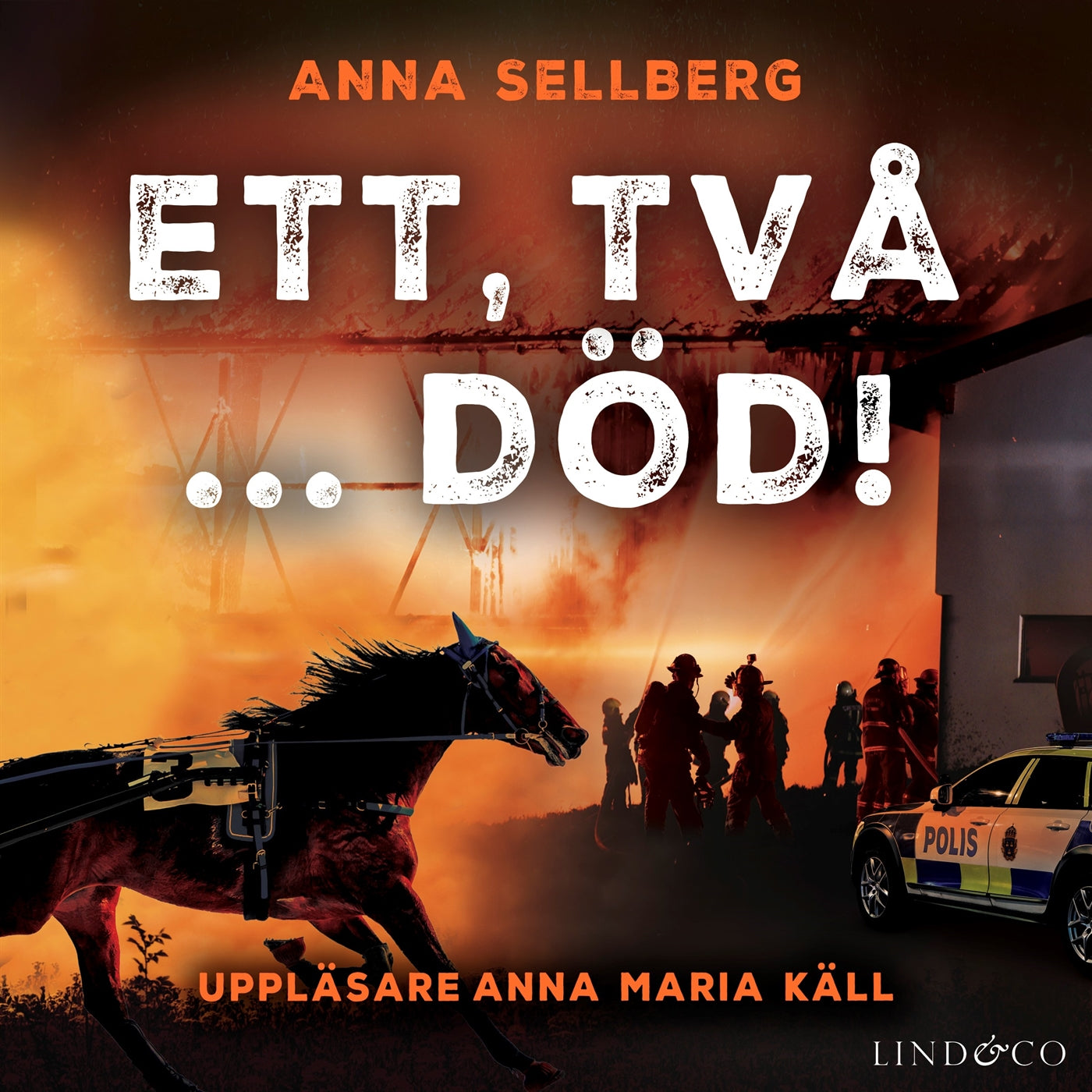 Ett, två ... död! – Ljudbok