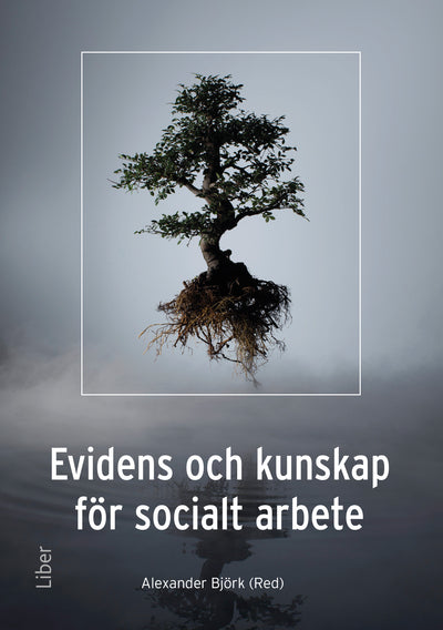 Evidens och kunskap för socialt arbete, e-bok