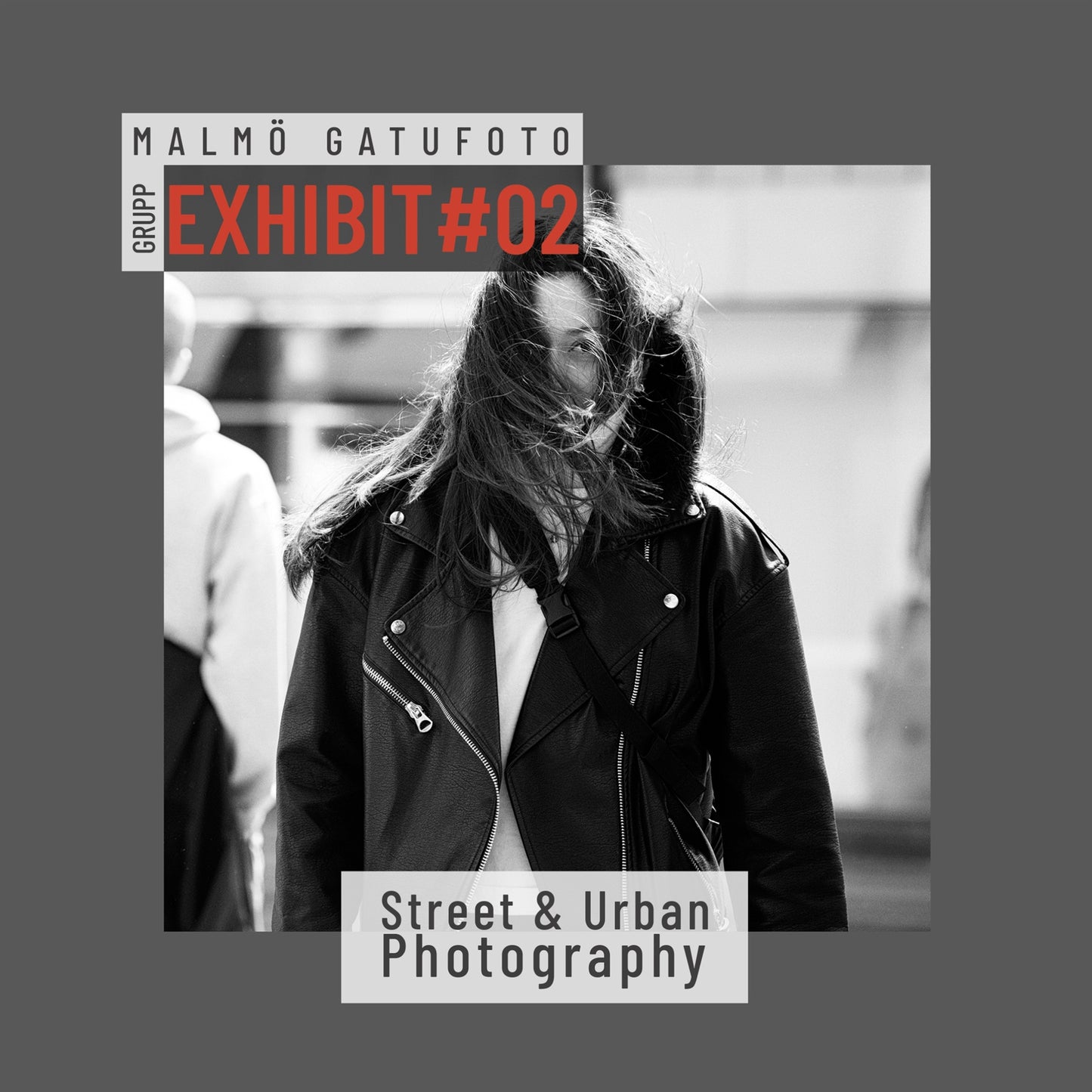 Exhibit #02 - Malmö Gatufotogrupp – E-bok