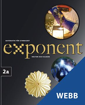 Exponent 2a, digital elevträning, 12 mån