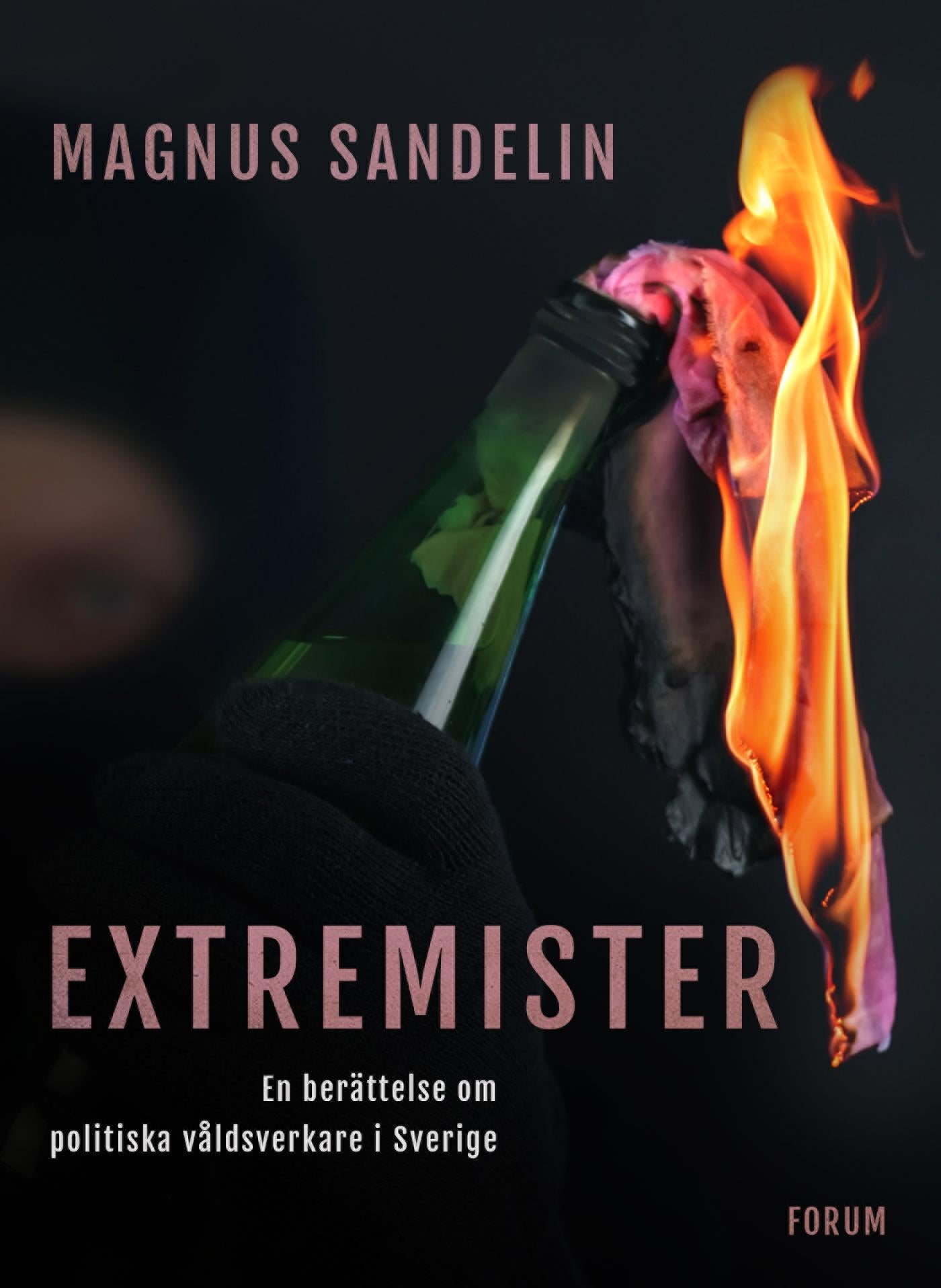 Extremister : En berättelse om politiska våldsverkare i Sverige – E-bok