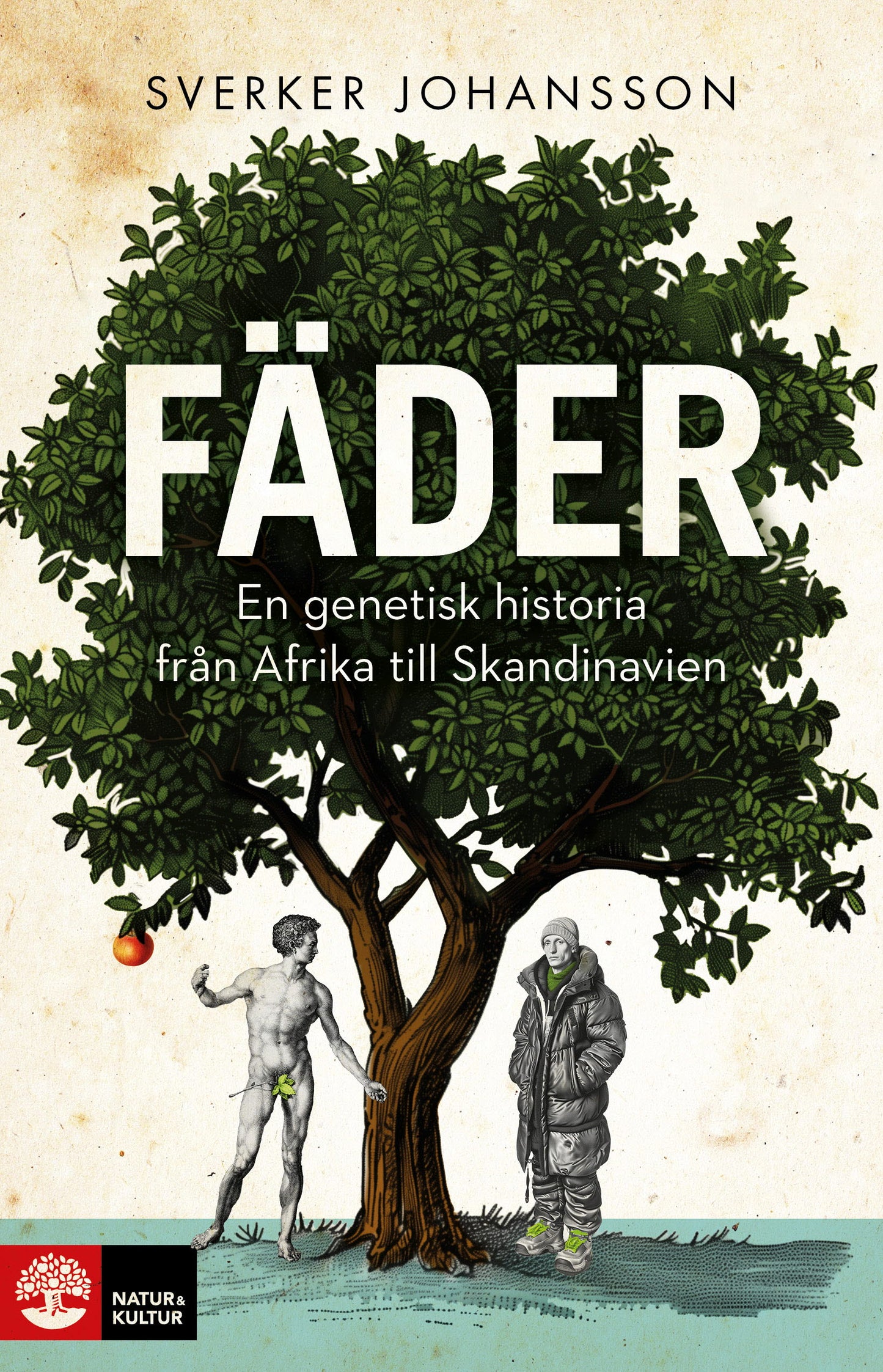 Fäder : en genetisk historia från Afrika till Skandinavien – E-bok