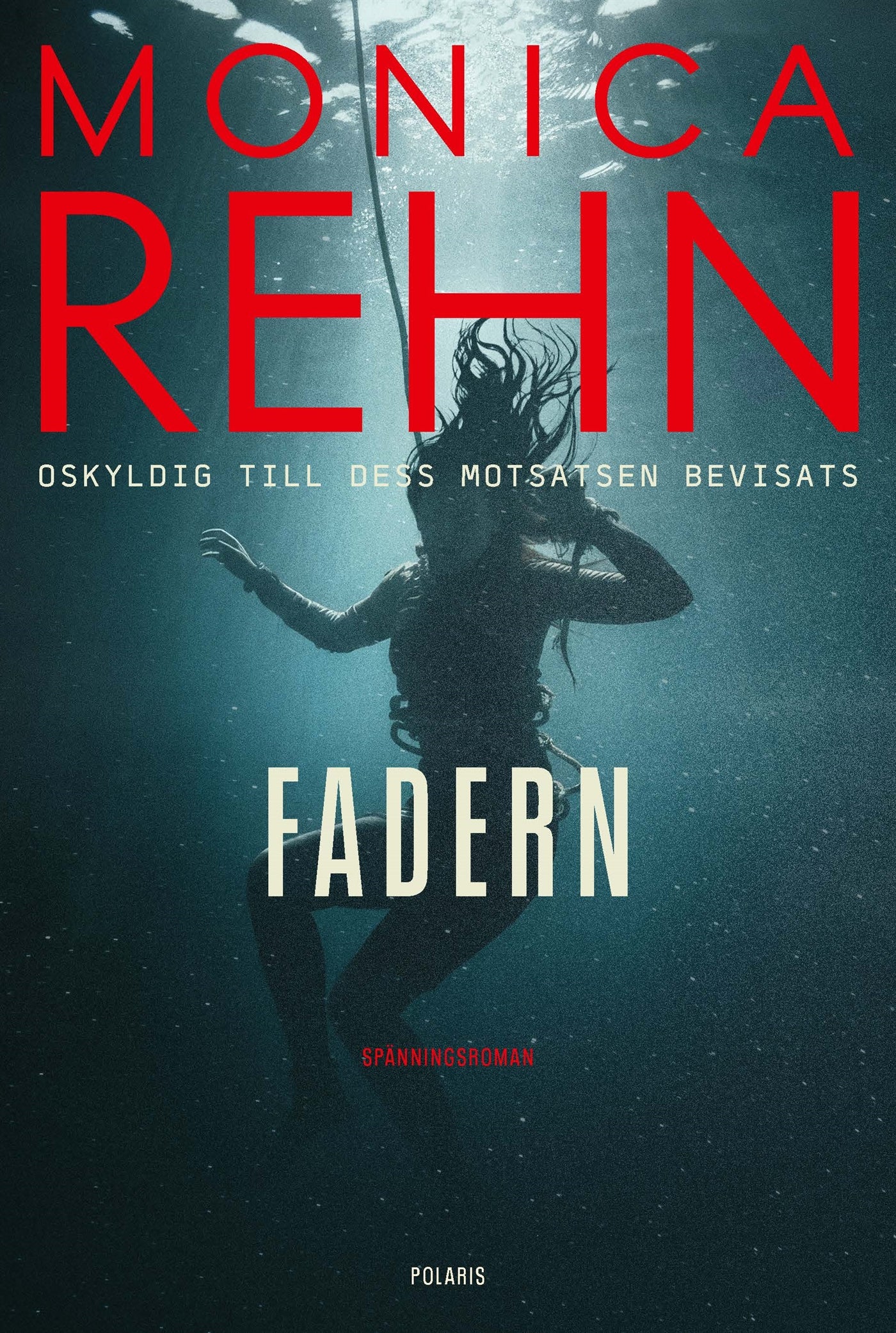 Fadern – E-bok