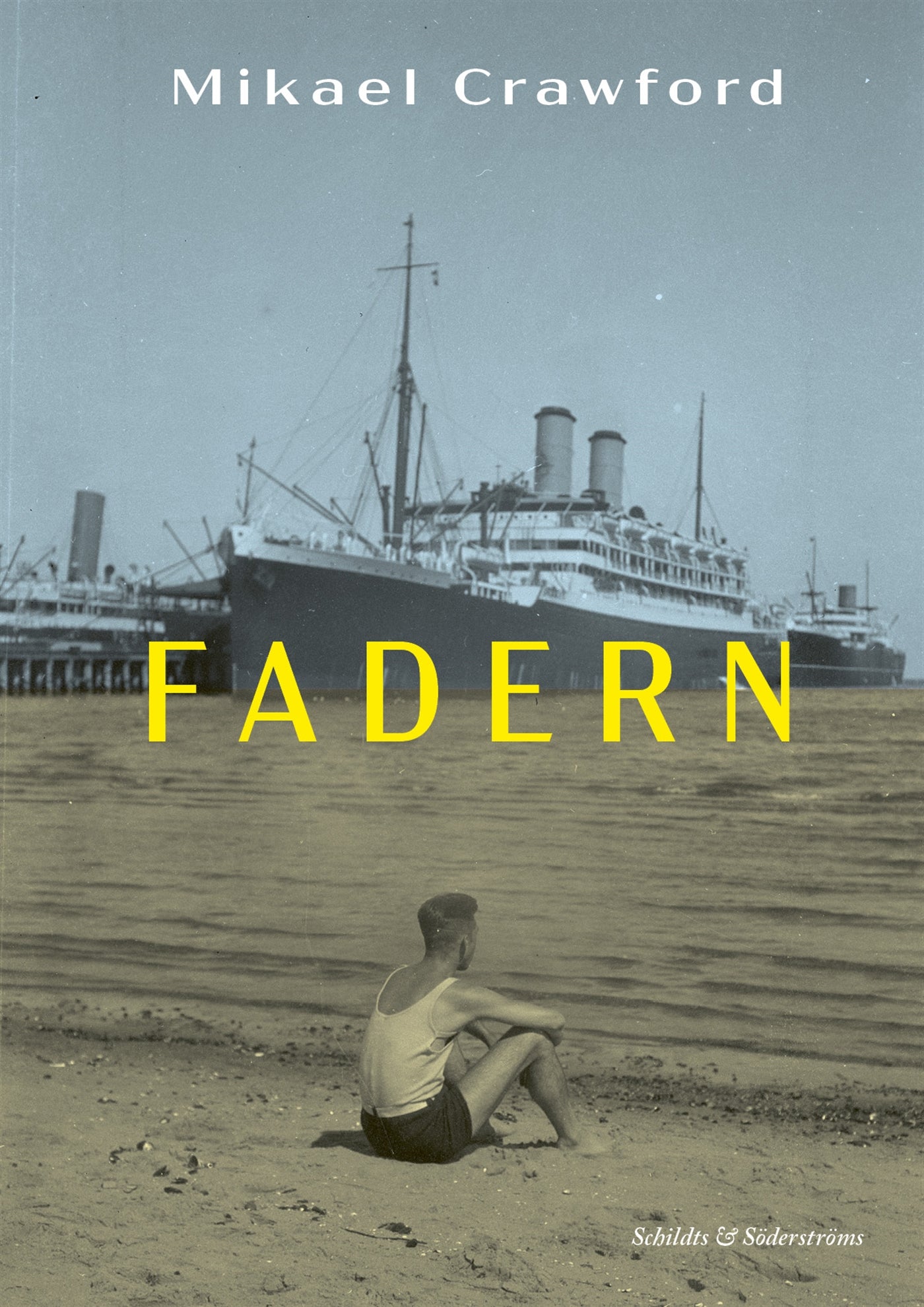 Fadern – E-bok