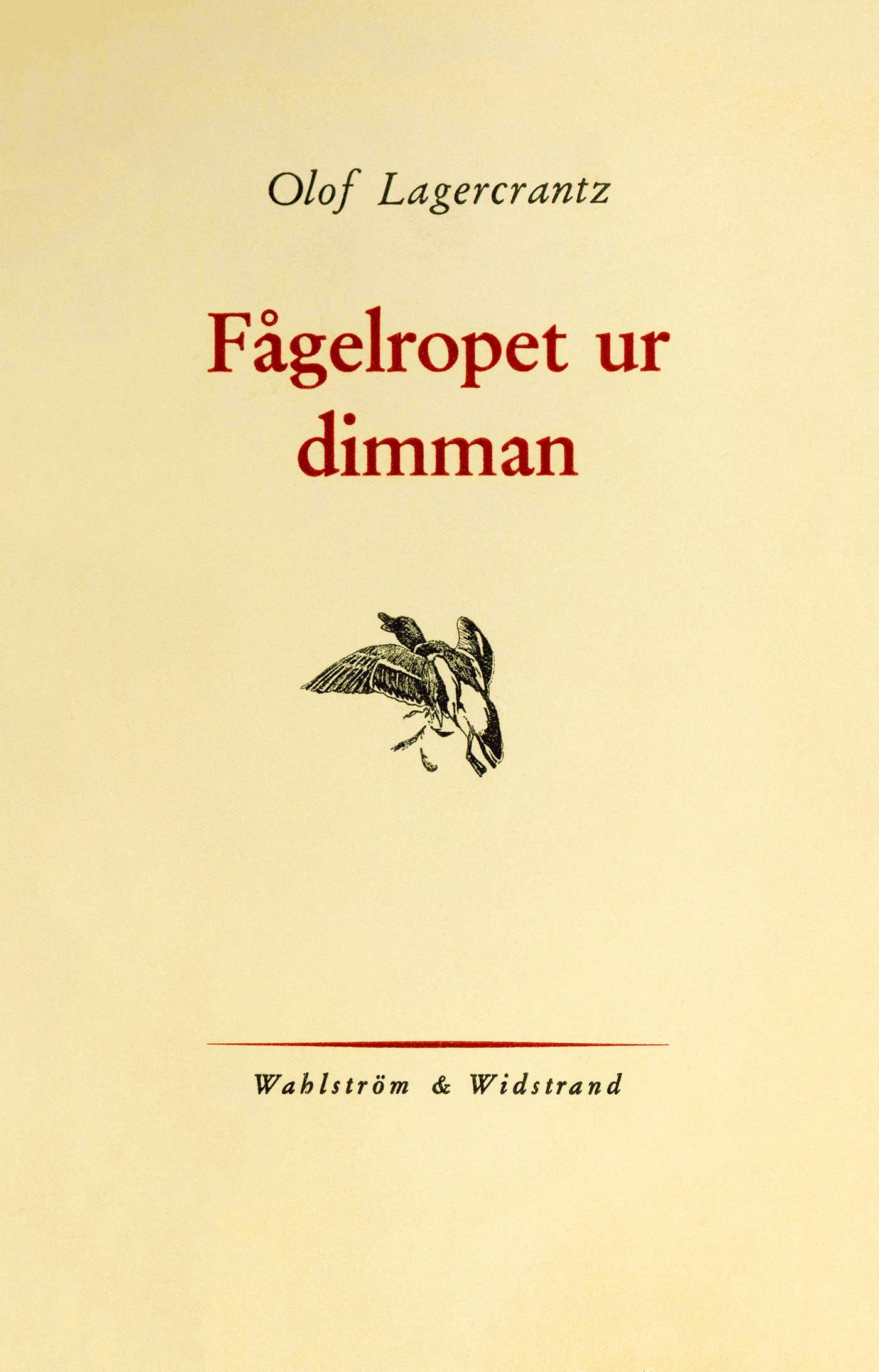 Fågelropet ur dimman – E-bok
