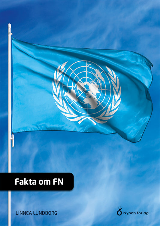 Fakta om FN – E-bok