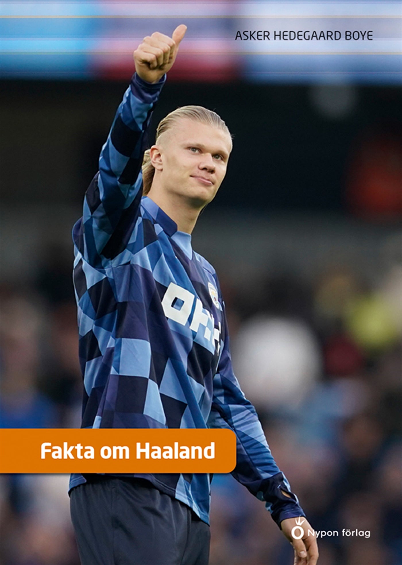 Fakta om Haaland – E-bok