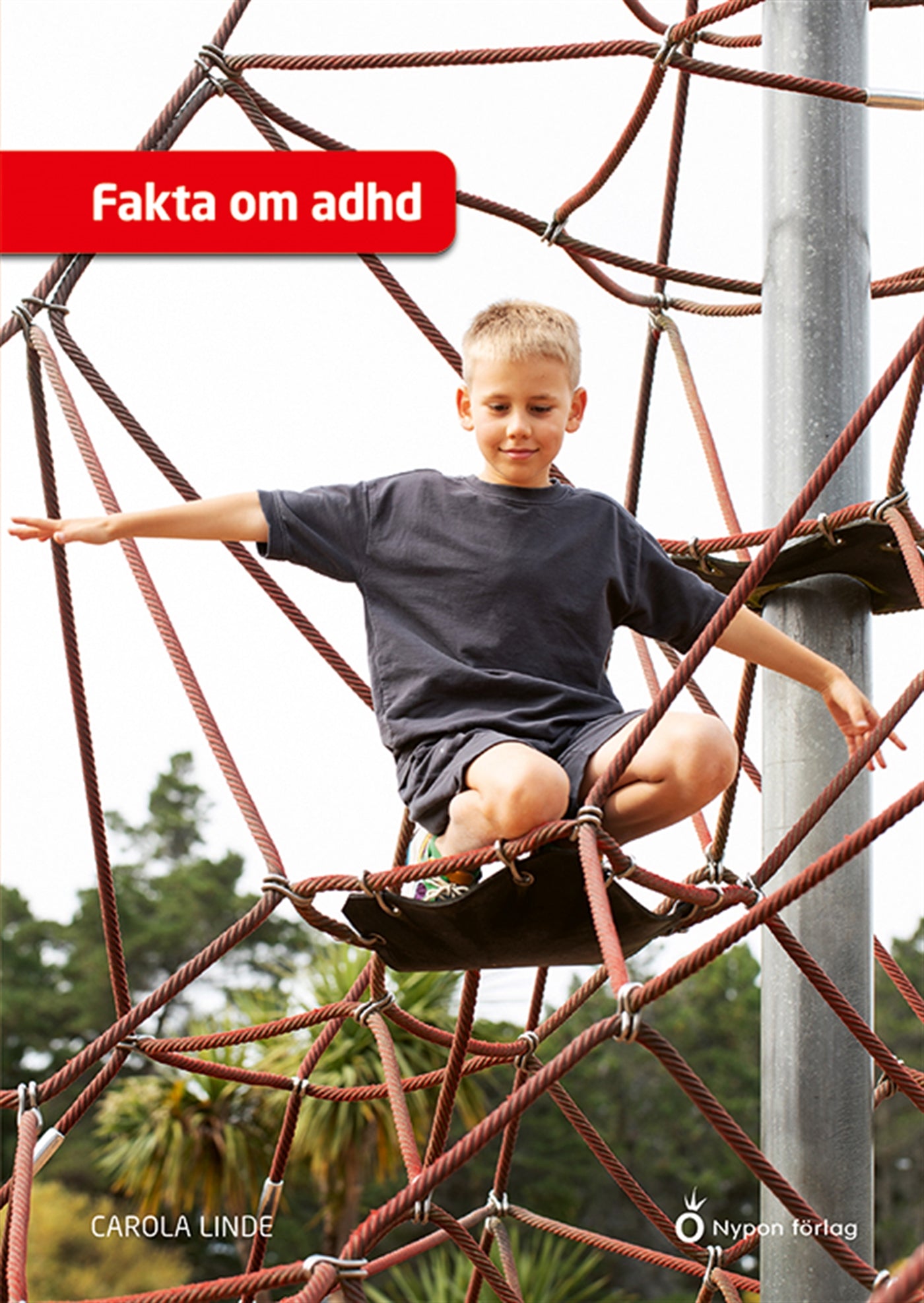 Fakta om adhd – E-bok