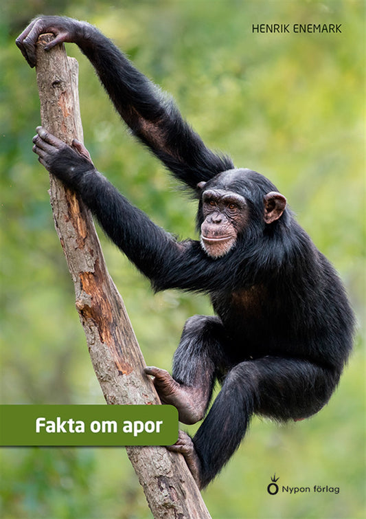 Fakta om apor – E-bok
