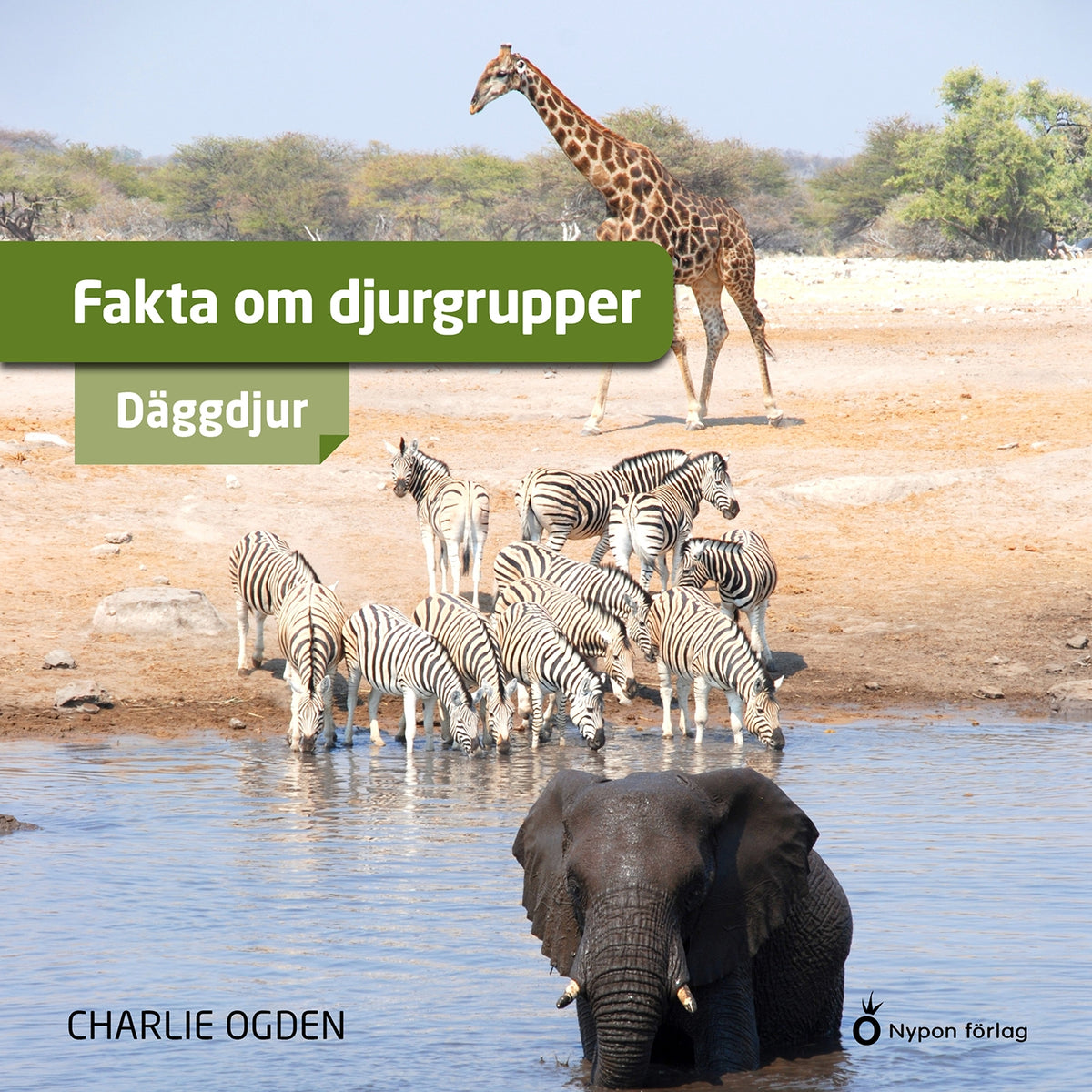 Fakta om djurgrupper - däggdjur – Ljudbok